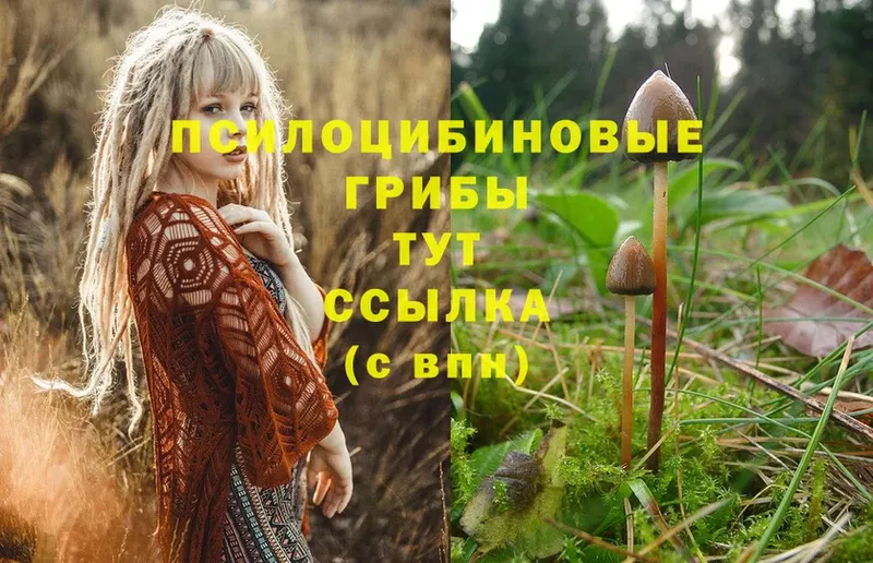 Псилоцибиновые грибы Magic Shrooms  Лысково 